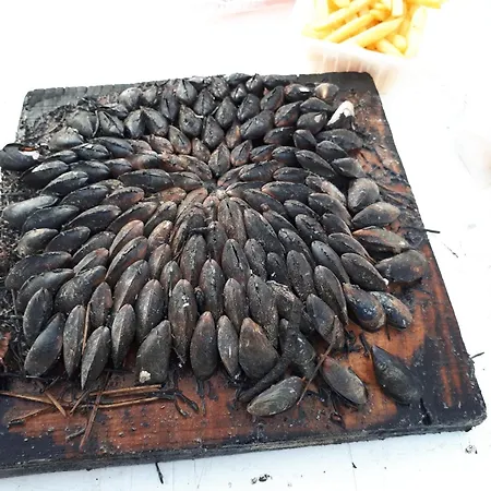 Jetez L'ancre, Hébergement de vacances